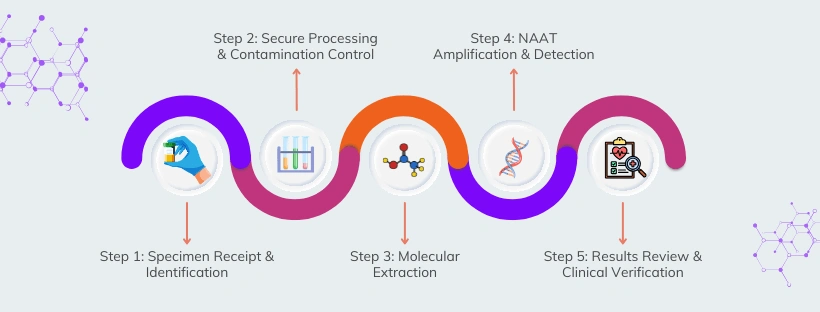 NAAT workflow for Genome-Based Diagnostics